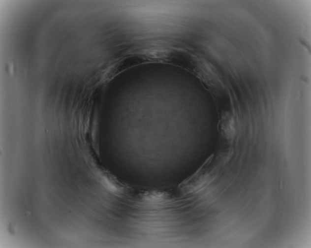 X0000097770235200803141752