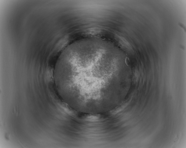 X0000097770236200803141752
