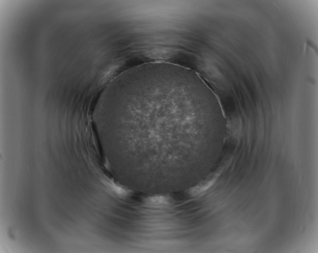 X0000097770237200803141752