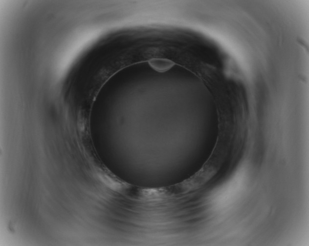 X0000097770239200803141752