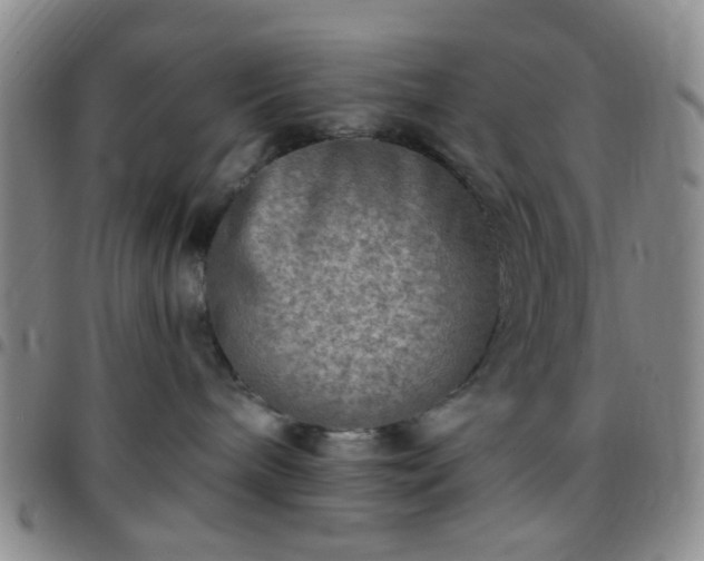 X0000097770240200803141752