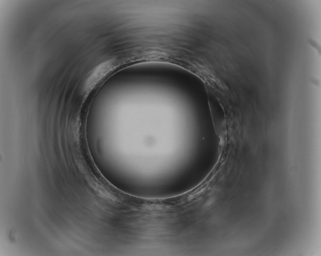 X0000097770242200803141751