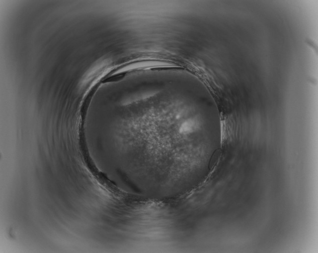 X0000097770243200803141751