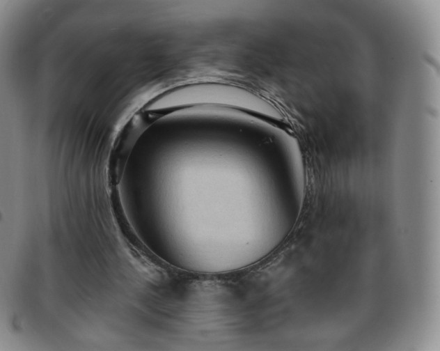 X0000097770244200803141751