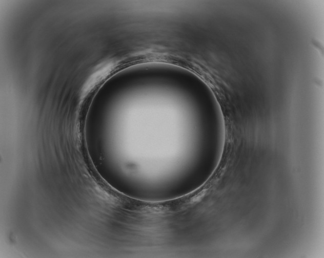 X0000097770245200803141751
