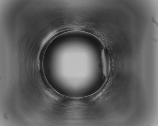 X0000097770246200803141752