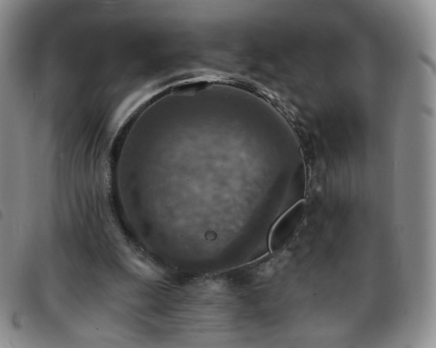 X0000097770247200803141752