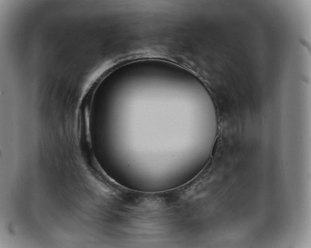 X0000097770248200803141752