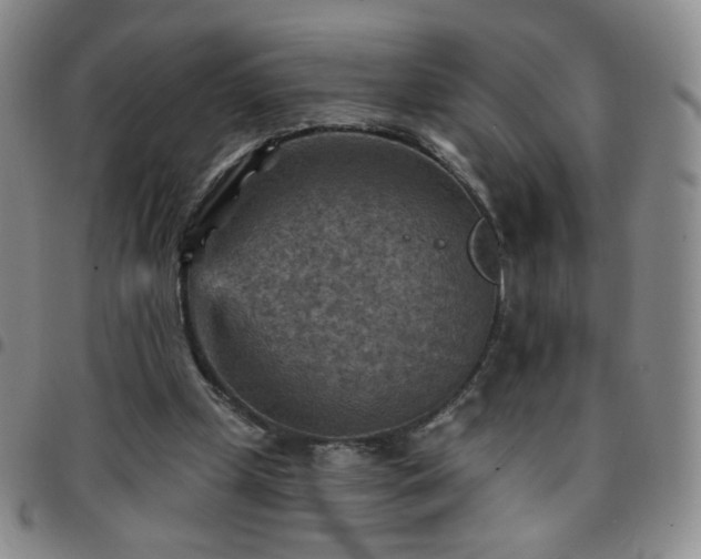 X0000097770249200803141752