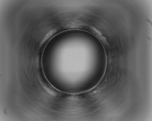 X0000097770250200803141752