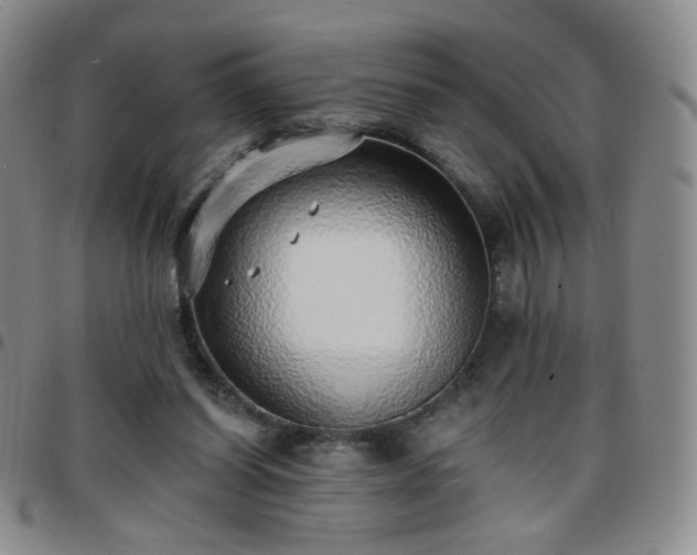 X0000097770254200803141752