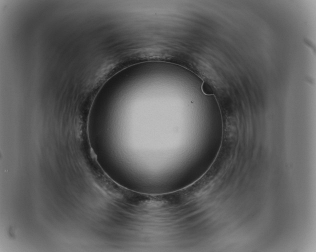 X0000097770255200803141752