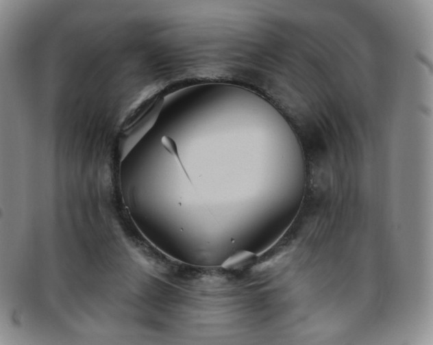 X0000097770256200803141752