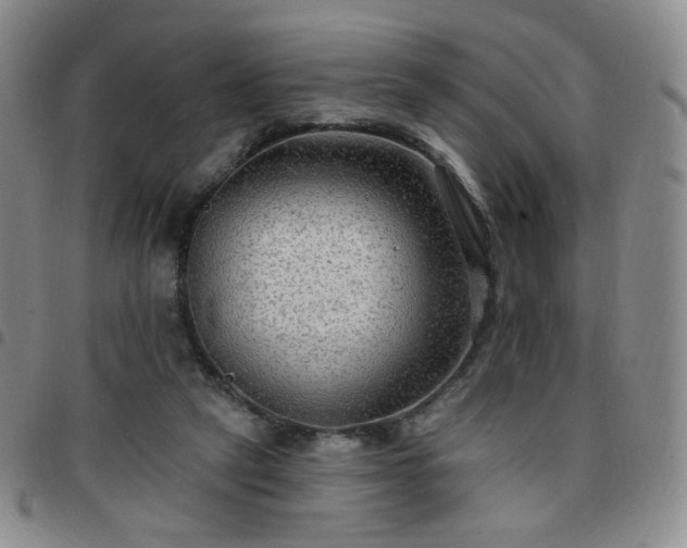 X0000097770257200803141752
