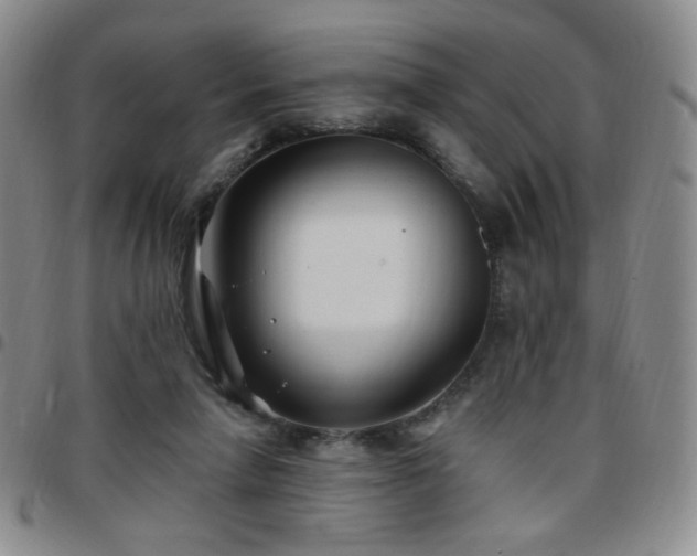 X0000097770258200803141752