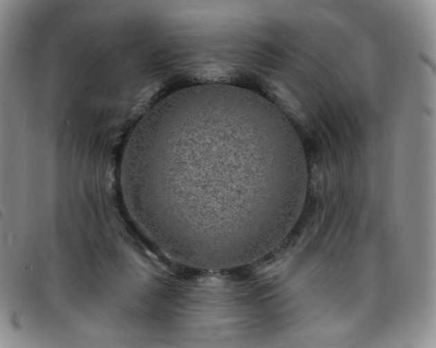 X0000097770259200803141752