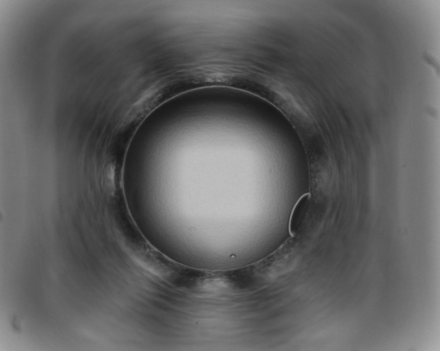 X0000097770262200803141752