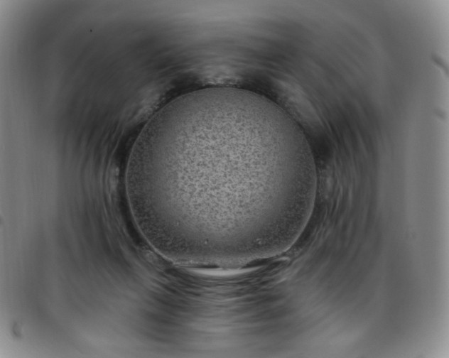 X0000097770263200803141752