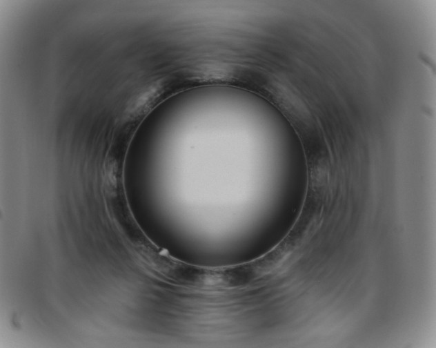 X0000097770264200803141752
