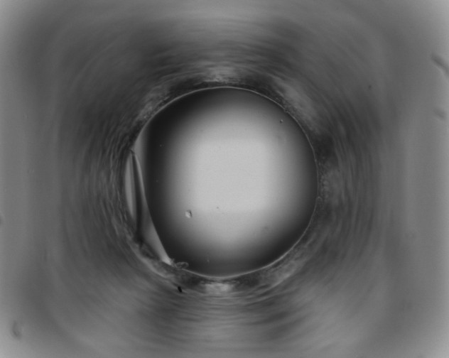 X0000097770265200803141752