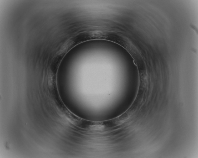 X0000097770266200803141752