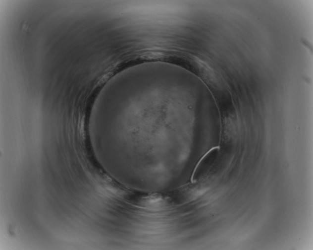 X0000097770267200803141752