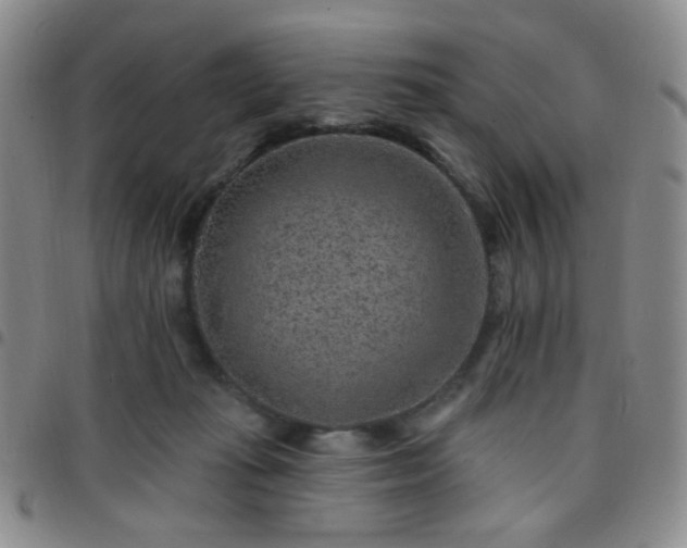 X0000097770269200803141752