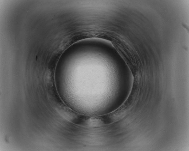 X0000097770270200803141752