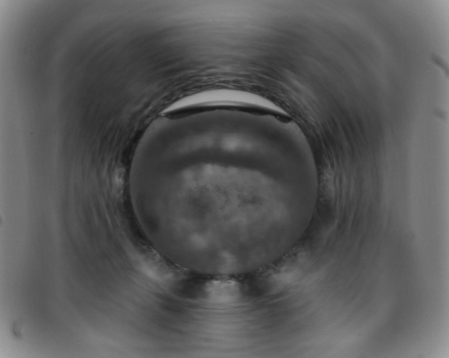 X0000097770271200803141752