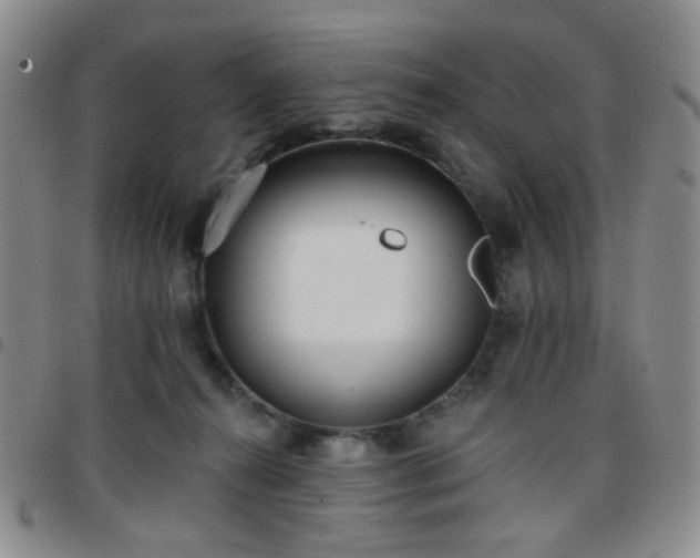 X0000097770272200803141752