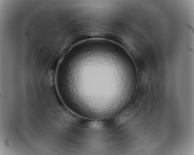 X0000097770273200803141752