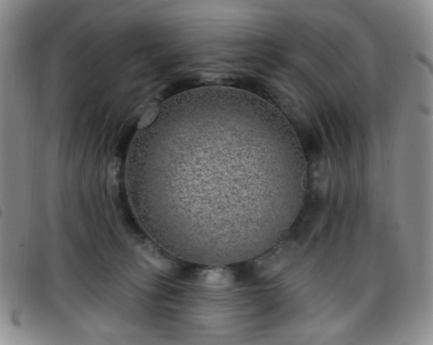 X0000097770275200803141752