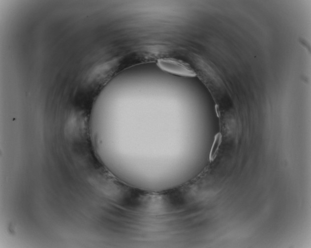 X0000097770276200803141752