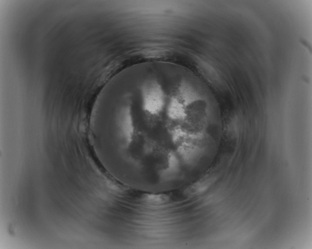 X0000097770277200803141752