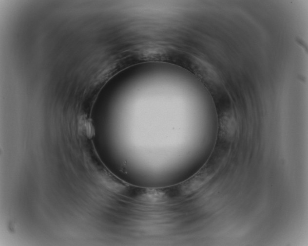 X0000097770278200803141752