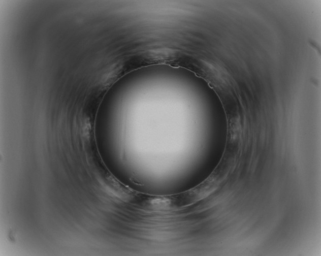 X0000097770279200803141752