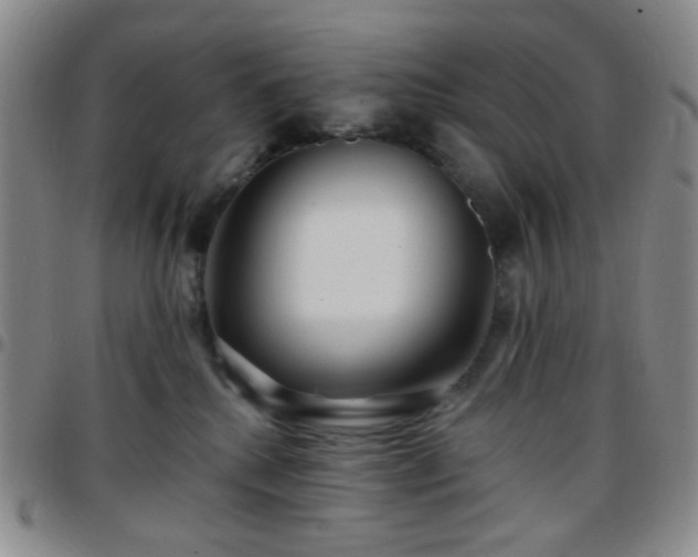 X0000097770280200803141752