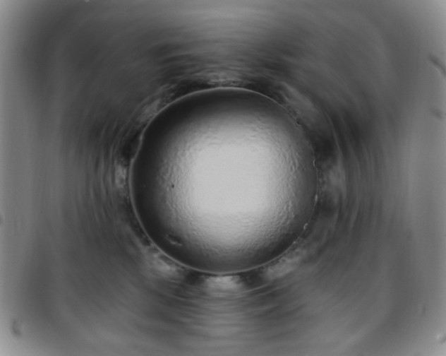 X0000097770281200803141752