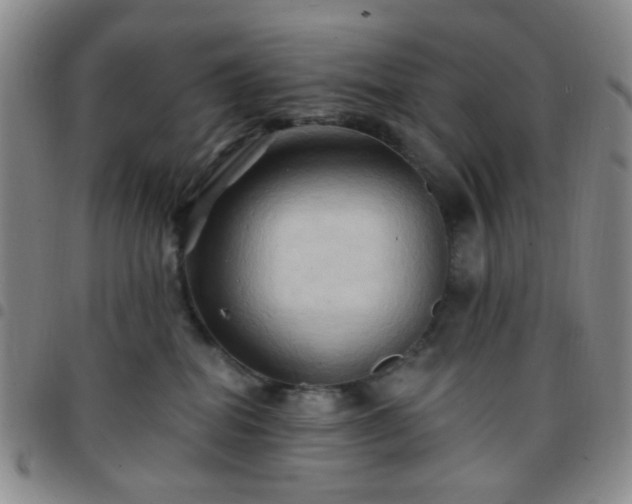X0000097770282200803141752