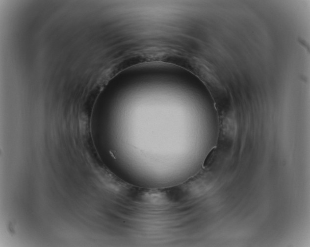 X0000097770283200803141752