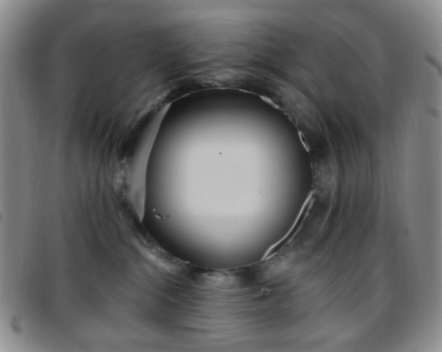 X0000097770284200803141752