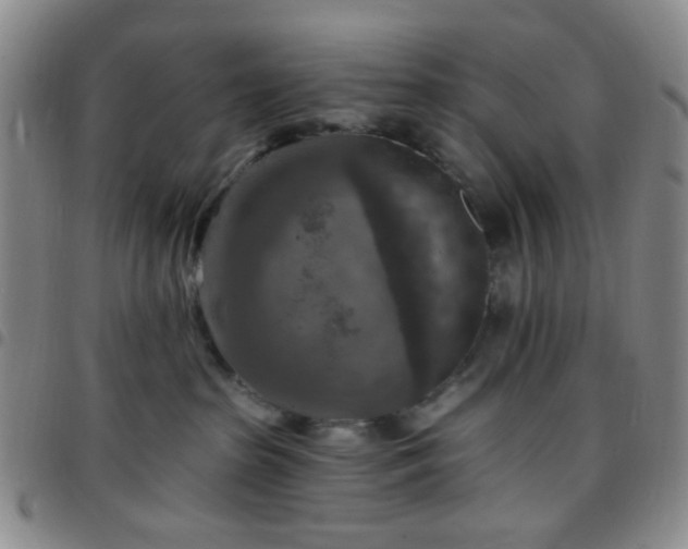 X0000097770285200803141752