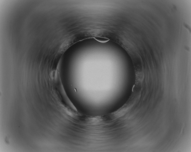 X0000097770286200803141752