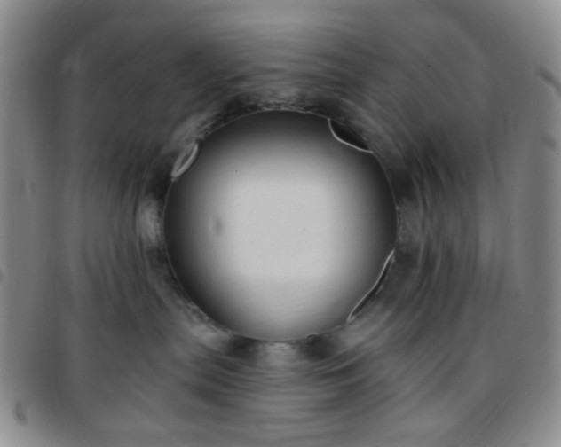 X0000097770287200803141752