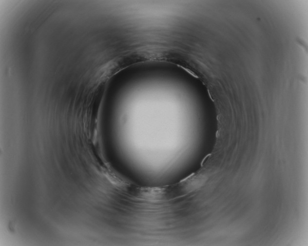 X0000097770288200803141752
