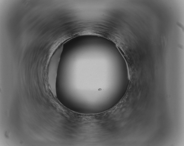 X0000097770289200803141751