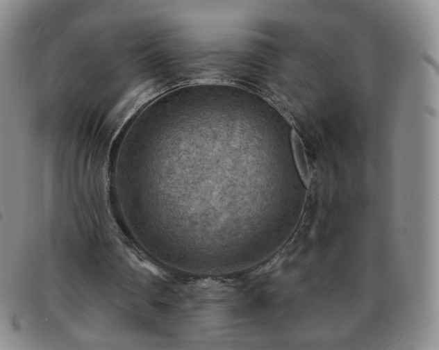 X0000097770290200803141751
