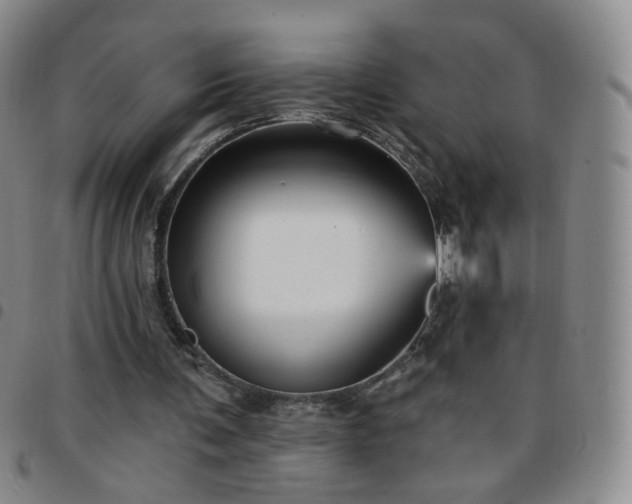 X0000097770291200803141751