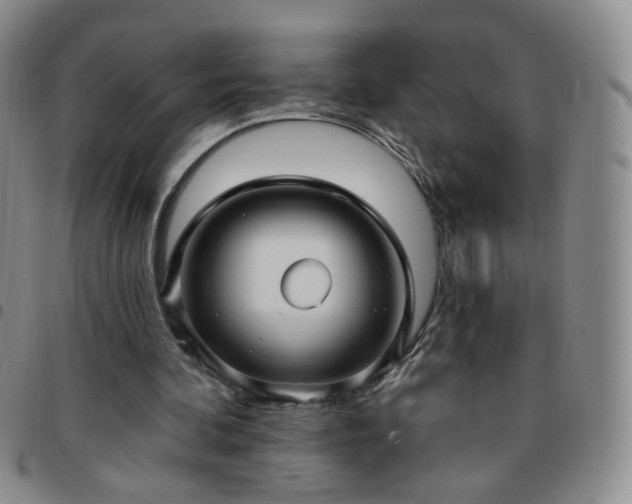 X0000097770292200803141751
