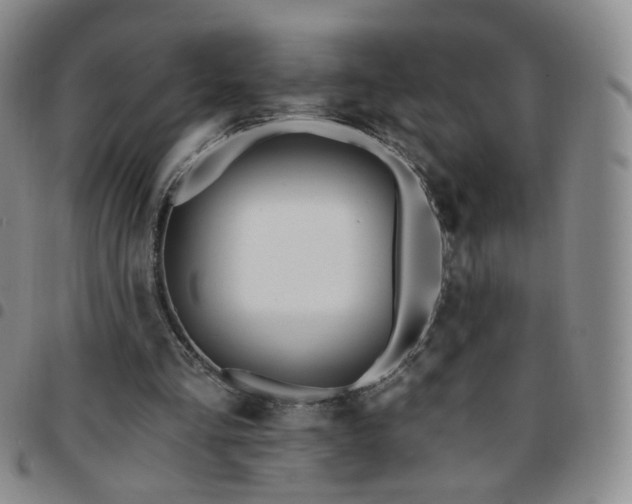 X0000097770293200803141751